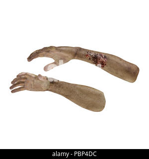 Beängstigend zombie Hände auf Weiß. 3D-Darstellung Stockfoto