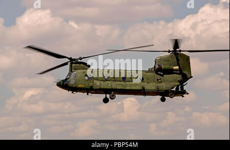 Chinook, Royal Netherlands Air Force, D-106 Stockfoto