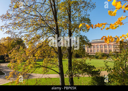 Schlossgarten oder Schlossgarten, Historisches Zoologisches Museum, Herbstzeit, Herbstlaub, Kiel, Hauptstadt Schleswig-Holsteins, Deutschland, Europa Stockfoto