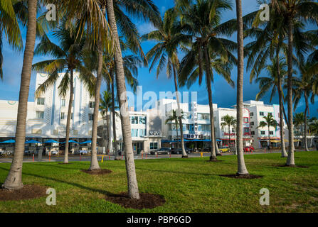 MIAMI - ca. Juni, 2018: Blick von Art déco-Hotels Futter Ocean Drive ab zwischen den Palmen des Lummus Park Beach Promenade. Stockfoto