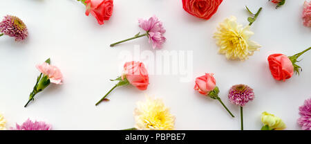 Blumen-Komposition. Gestell aus getrockneten Rosenblüten auf weißem Hintergrund. Flach legen, Top Aussicht. Stockfoto