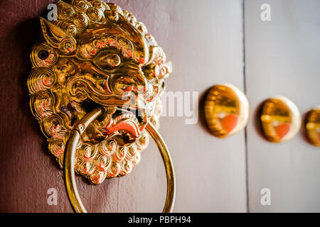 Glänzendes Metall lion Türklopfer an der hölzernen Tor. Stockfoto