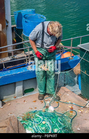 Ein Fischer sorgfältig untangles der Fang von einer Reise aus dem feinen Netz im malerischen Hafen an der West Bay in Dorset. Stockfoto