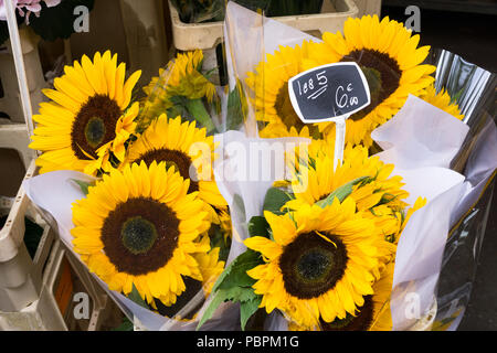 Sonnenblumen zum Verkauf - Nahaufnahme von Sonnenblumen (Helianthus annuus) auf einem Markt in Paris, Frankreich, Europa verkauft. Stockfoto