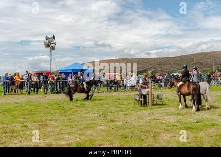 Schull, West Cork, Irland. 29. Juli, 2018. Schull Landwirtschaft zeigen ist unterwegs in der prallen Sonne mit Hunderten von Teilnehmern. Credit: Andy Gibson/Alamy Leben Nachrichten. Stockfoto