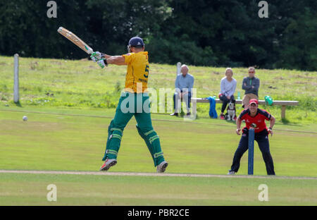 Der Rasen, Waringstown, Nordirland, Großbritannien. 29. Juli, 2018. Der Lagan Valley Stähle 20 20 Cup Finale 2018. Waringstown v North Down. Ruhan Pretorius schlagen für North Down. Quelle: David Hunter/Alamy Leben Nachrichten. Stockfoto