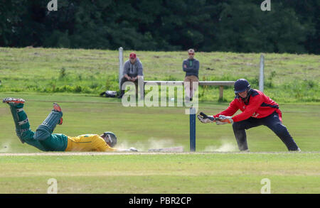 Der Rasen, Waringstown, Nordirland, Großbritannien. 29. Juli, 2018. Der Lagan Valley Stähle 20 20 Cup Finale 2018. Waringstown v North Down. Ein North Down Batsman justs macht es in der Falte. Quelle: David Hunter/Alamy Leben Nachrichten. Stockfoto