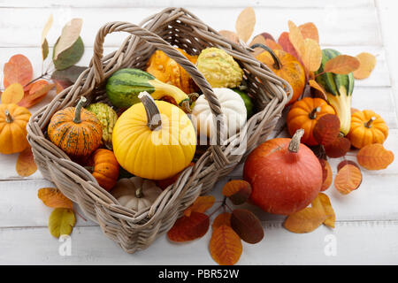 Weidenkorb mit bunten Kürbisse und Kürbisse für Halloween und Thanksgiving, Urlaub Dekoration Stockfoto