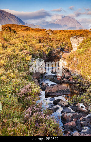 Ein kleiner Bach in Glencoe, Lochaber, Highlands, Schottland, UK. Stockfoto