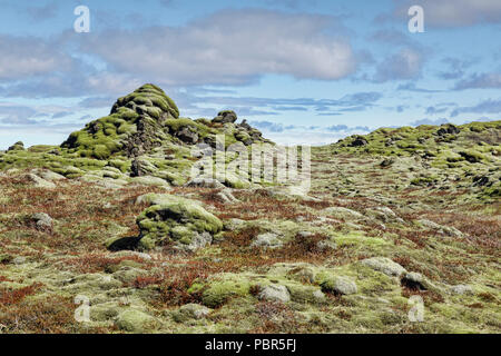 Moos bedeckt alten Lavafeld bei Skaftareldahraun, South Island Stockfoto