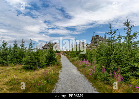 Blick zum Dreisessel, Trojmezi und Trojmezna Hügellandschaft mit Wäldern durch Borkenkäfer Plage zerstört (Unheil) im Böhmerwald. Stockfoto