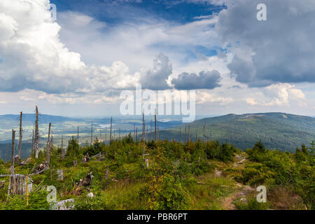 Blick zum Dreisessel, Trojmezi und Trojmezna Hügellandschaft mit Wäldern durch Borkenkäfer Plage zerstört (Unheil) im Böhmerwald. Stockfoto