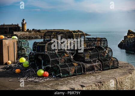 Hummer oder Krabben Töpfen auf Kai. Portpatrick. Schottland Stockfoto