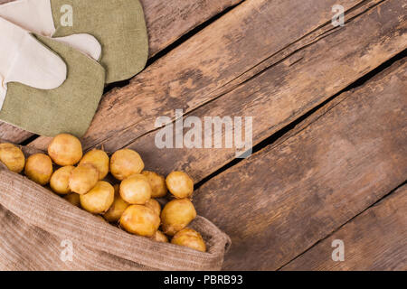 Reife junge Kartoffeln in einem sackleinen Tasche und Handschuhe. Copyspace. Holz- Hintergrund. Stockfoto