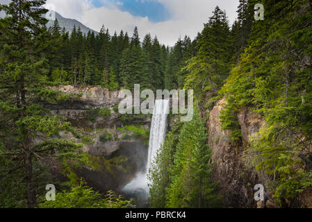 Einen majestätischen Wasserfall Kaskaden aus einer Douglas fir Wald in eine Schlucht am Fuß eines Berges in British Columbia Kanada Stockfoto