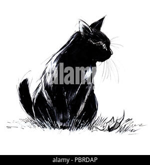 Schwarze Katze verspielt Jagd warten auf ihre Beute zu stürzen Stockfoto