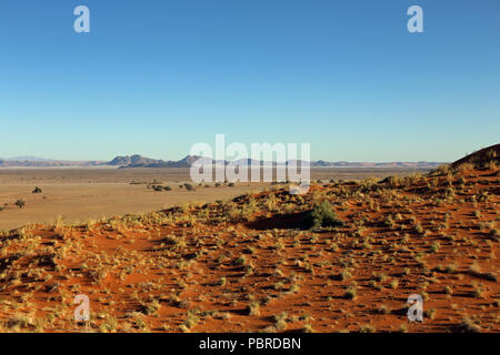 Ein Blick von Oben Elim Düne in den Namib-Naukluft-Nationalpark, Namibia. Stockfoto