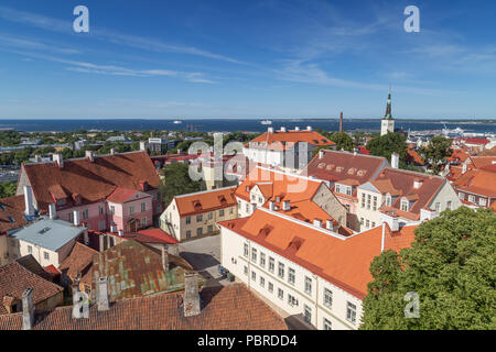 Alte Gebäude und St. Olaf's (oder Olav's) Kirche der Turm in der Altstadt von Tallinn, Estland, gesehen von oben an einem sonnigen Tag im Sommer. Stockfoto