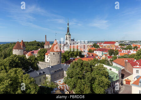 Stadtmauern und St. Olaf (oder Olav's) die Kirchtürme und andere Gebäude in der Altstadt von Tallinn, Estland, gesehen von oben im Sommer. Stockfoto