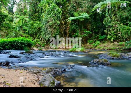 Henrietta Creek in den frühen Morgenstunden fließt, Atherton Tablelands, QLD, Australien Stockfoto