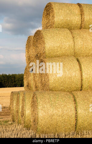 Die Riemenscheiben von Stroh im Bereich angeordnet. Arbeit während der Ernte. Saison der Sommer Stockfoto