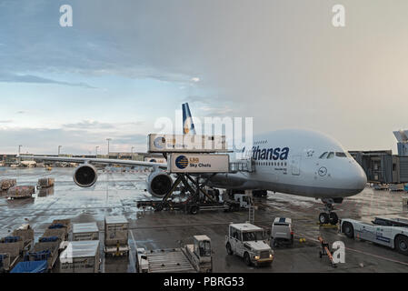 Lufthansa Airbus A380 laden am Flughafen Frankfurt. Stockfoto