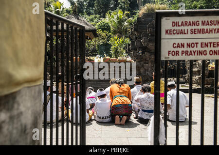 Gläubige feiern das Hindu Festival der Fest Galungan im Pura Tirta Empul, in der Nähe von Ubud, Bali, Indonesien. Stockfoto