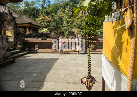 Gläubige feiern das Hindu Festival der Fest Galungan im Pura Tirta Empul, in der Nähe von Ubud, Bali, Indonesien. Stockfoto