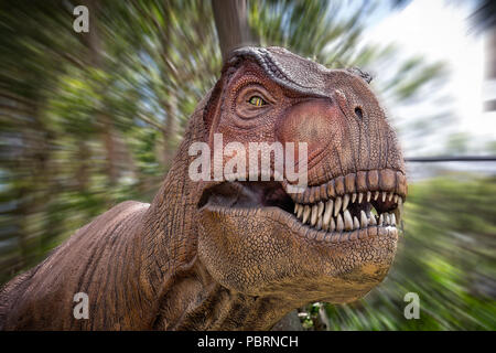 Aggressive Tyrannosaurus Rex in Lebensgröße Modell in Sydney, NSW, Australien am 19. Dezember 2014 getroffen Stockfoto