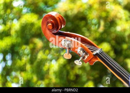 Close-up Detail der Kontrabass über grüne verschwommenen Hintergrund. Farbe Detail mit dem Kopf eines Vintage Kontrabass. Kontrabass Holz- instrument Detail Stockfoto