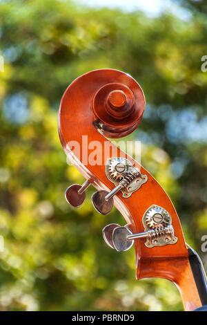 Close-up Detail der Kontrabass über grüne verschwommenen Hintergrund. Farbe Detail mit dem Kopf eines Vintage Kontrabass. Kontrabass Holz- instrument Detail Stockfoto