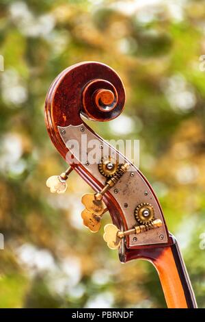 Close-up Detail der Kontrabass über grüne verschwommenen Hintergrund. Farbe Detail mit dem Kopf eines Vintage Kontrabass. Kontrabass Holz- instrument Detail Stockfoto