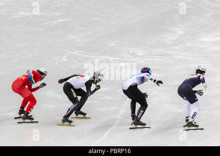 Jong Kwang Bom (PKR) Nr. 222, Keita Watanabe (JPN) Nr. 19, Hwang Daeheon (KOR) Nr. 19 und Thomas Hong (USA) #87 zu Beginn des Short Track Männer 500 m Wärme Stockfoto