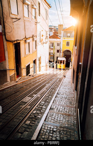 Von Lissabon Gloria gelb Standseilbahn in Sonnenuntergang Fernlicht. Lissabon, Portugal. Westseite der Avenida da Liberdade verbindet die Innenstadt mit dem Bairro Alto. Stockfoto