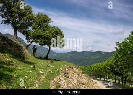 Wandern auf einem Berg in der Nähe von pineda Gudar in den katalanischen Pyrenäen, Spanien Stockfoto