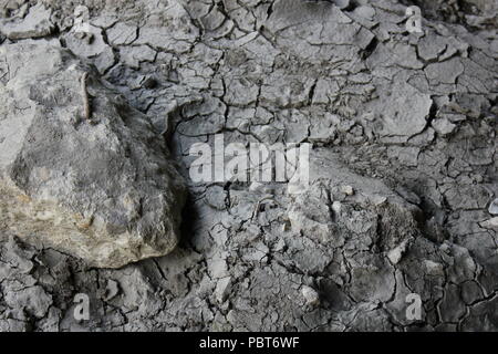 Stark getrockneter, rissiger, gewellter Schlamm und Schlammrisse. Stockfoto