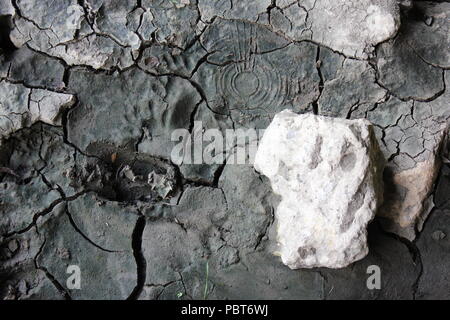 Stark getrocknet, rissig, rippled Schlamm und mudcracks mit einer nicht identifizierten Labyrinth Drucken im Cook County Forest Preserve in Chicago, Illinois, gefunden. Stockfoto