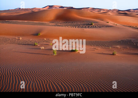 Landschaft der Sanddünen in der Wüste Rub' al Khali auf der Arabischen Halbinsel Stockfoto