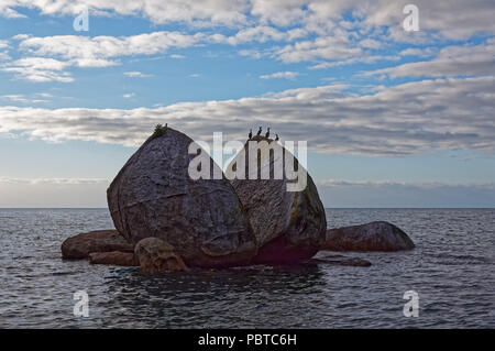 Split Apple rock im Morgenlicht mit sich Krähenscharben trocknen in der Sonne Stockfoto