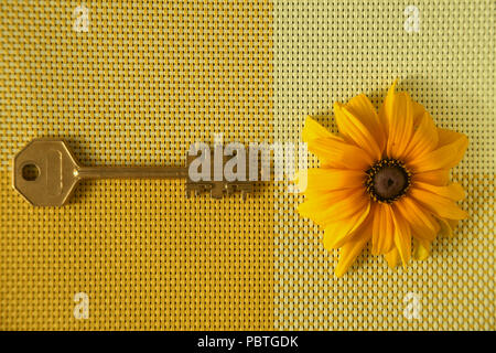 Gelbe Sonnenblumen und Messing auf zwei Farben gewebt gelb Textil Seite an Seite auf verschiedenen Farben in einem flachem legen Hintergrund immer noch Leben. Selectiv Stockfoto