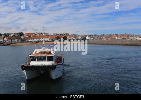 Seafari Explorer Abfahrt Anstruther Fife Schottland Juli 2018 Stockfoto