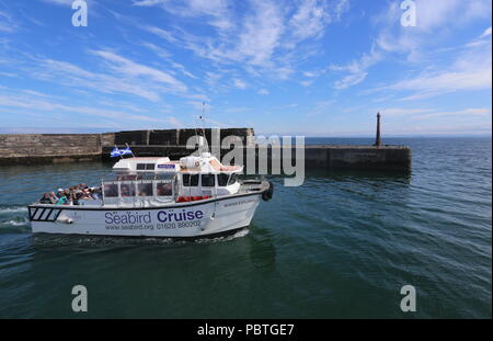 Seafari Explorer Abfahrt Anstruther Fife Schottland Juli 2018 Stockfoto