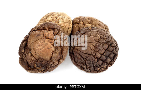 Getrocknete Shiitake-pilze, chinesische Pilze auf weißem Hintergrund Stockfoto