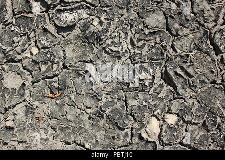 Stark getrockneter, rissiger, gewellter Schlamm und Schlammrisse. Stockfoto