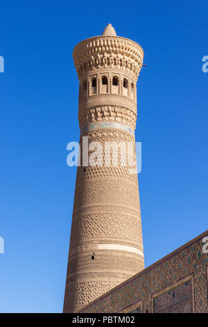 Die kalyan Minarett - Buchara, Usbekistan Stockfoto