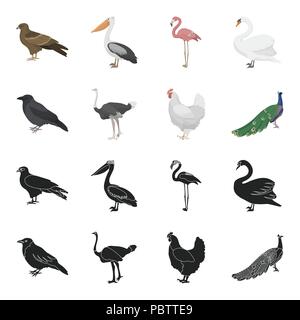 Crow, Strauß, Huhn, Pfau. Vögel stellen Sammlung Icons in Schwarz, Cartoon Stil vektor Symbol lieferbar Abbildung. Stock Vektor
