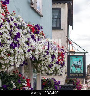 WINDSOR, Maidenhead und Windsor/UK - Juli 22: hängende Körbe, beladen mit Blumen in Windsor, Maidenhead und Windsor am 22. Juli 2018 Stockfoto