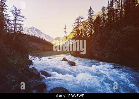 Schönen Berg River. Herbst. Aktuelle Wasser. Baum auf dem Stein. Strom Wasser. Wasserfall Landschaft in Kanada. Der Rote Ahorn Blätter frame Dieser beau Stockfoto