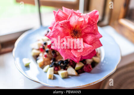 Makro Nahaufnahme von einem großen, rosa Rosenblüten essbare Dekoration auf dem Teller der gesunden vegane Nachspeise Eis mit Obst äpfel, Beeren Fensterbank home Stockfoto