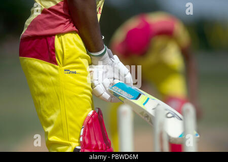 Magdeburg, Deutschland. 20 Juni, 2018. Spieler des Cricket Club USC Magdeburg Zug in den Elbauen Park. Die Cricket Club ist die Erste in Sachsen-Anhalt. Credit: Klaus-Dietmar Gabbert/dpa-Zentralbild/ZB/dpa/Alamy leben Nachrichten Stockfoto